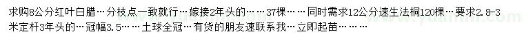 求購8公分紅葉白蠟、12公分速生法桐