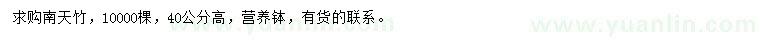 求購高40公分南天竹