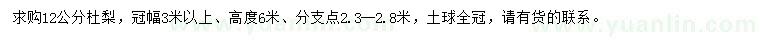 求購12公分杜梨