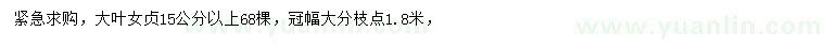 求購15公分以上大葉女貞