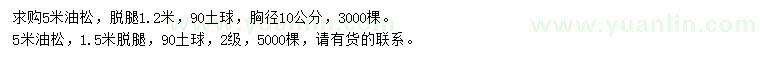 求購5米油松