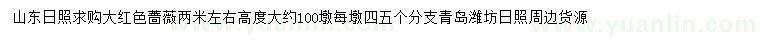 求購高2米大紅薔薇