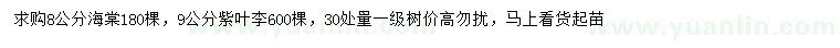 求購(gòu)30量8公分海棠、9公分紫葉李