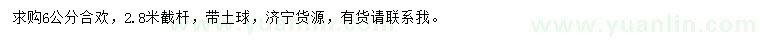 求購(gòu)6公分合歡