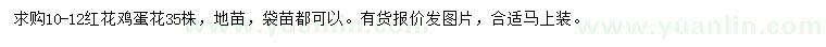 求購(gòu)10-12公分紅花雞蛋花