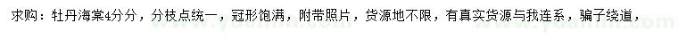 求購4分分牡丹海棠