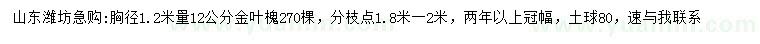求購(gòu)1.2米量12公分金葉槐