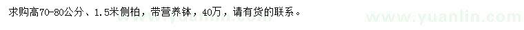 求購高70-80公分、1.5米側(cè)柏