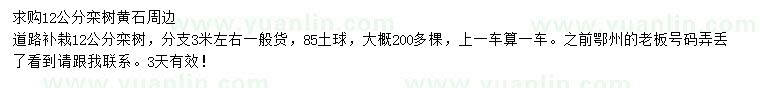 求購(gòu)12公分欒樹