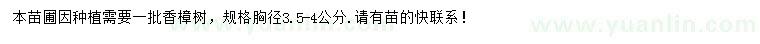 求購胸徑3.5-4公分香樟