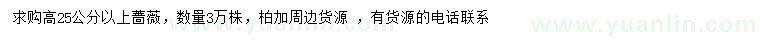 求購(gòu)高25公分以上薔薇