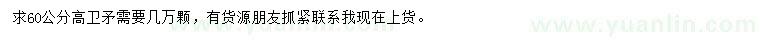 求購(gòu)高60公分衛(wèi)矛