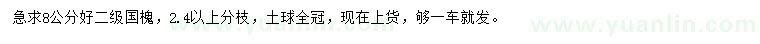 求購(gòu)8公分國(guó)槐