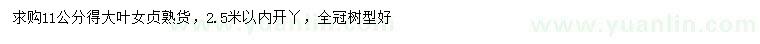 求購(gòu)11公分大葉女貞