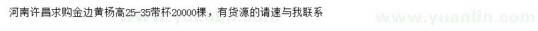 求購高25-35公分金邊黃楊