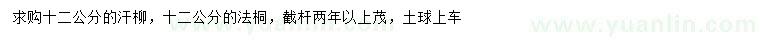 求購12公分旱柳、法桐