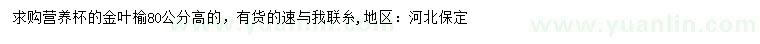 求購高80公分金葉榆