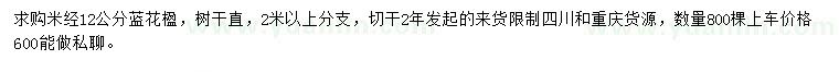 求購(gòu)米徑12公分藍(lán)花楹