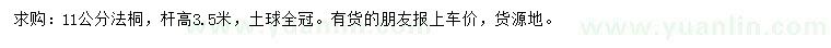 求購11公分法桐