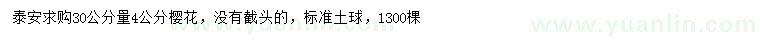 求購30量4公分櫻花