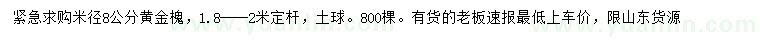 求購米徑8公分黃金槐