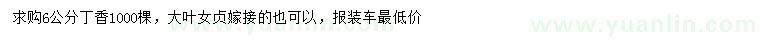 求購6公分丁香、大葉女貞