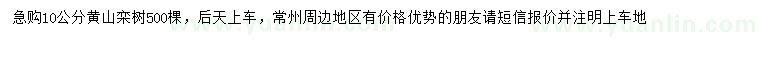 求購10公分欒樹