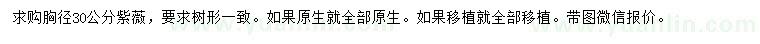 求購胸徑30公分紫薇