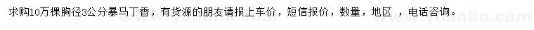 求購胸徑3公分暴馬丁香