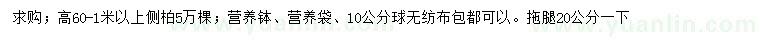 求購高0.6-1米以上側(cè)柏