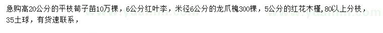 求購平枝荀子、紅葉李、龍爪槐等