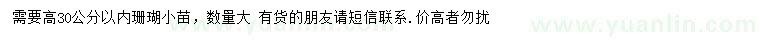 求購(gòu)高30公分以內(nèi)珊瑚小苗