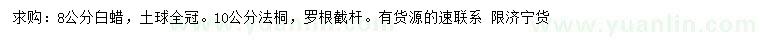 求購(gòu)8公分白蠟、10公分法桐