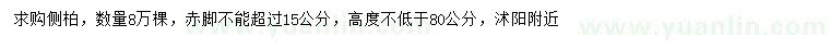 求購(gòu)高80公分以上側(cè)柏