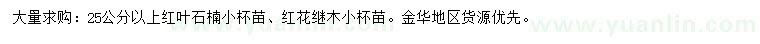 求購(gòu)25公分以上紅葉石楠、紅花繼木