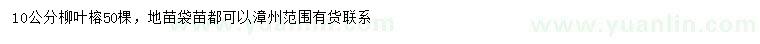 求購10公分柳葉榕