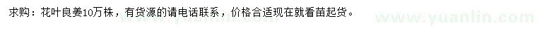 求購花葉良姜