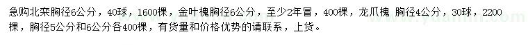 求購(gòu)北欒、金葉槐、龍爪槐