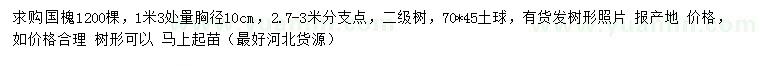 求購(gòu)1米3量10公分國(guó)槐