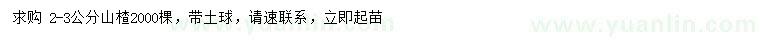 求購2-3公分山楂樹