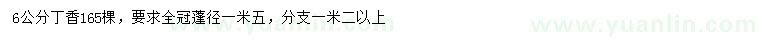 求購6公分丁香