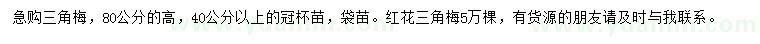 求購高80公分三角梅、紅花三角梅