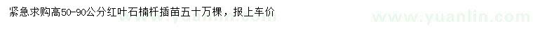 求購(gòu)高50-90公分紅葉石楠