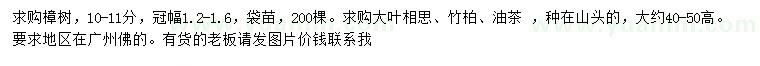 求購樟樹、大葉相思、竹柏等