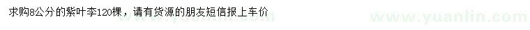 求購(gòu)8公分紫葉李