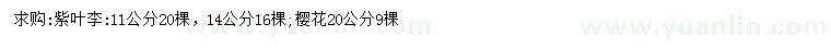 求購11、14公分紫葉李、20公分櫻花