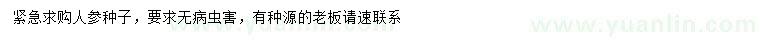 求購人參種子