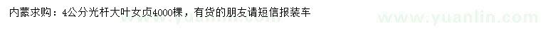 求購4公分大葉女貞
