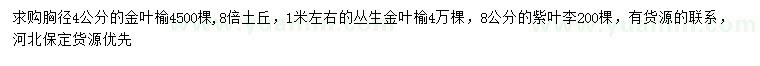 求購金葉榆、叢生金葉榆、紫葉李