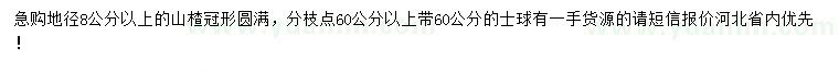 求購地徑8公分以上山楂樹